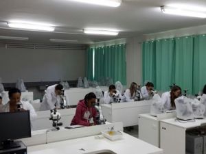 Laboratórios - Biologia